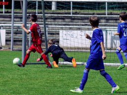 Hillen Cup 2024